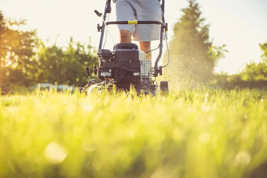 Wanneer graszoden leggen — het beste seizoen