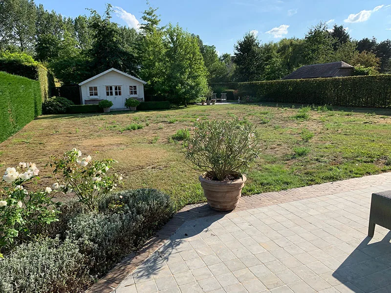 Gazon renoveren — oud gazon vervangen door graszoden