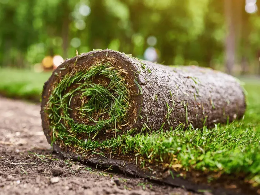 Verse graszoden rollen klaar voor aanleg — het resultaat na renovatie