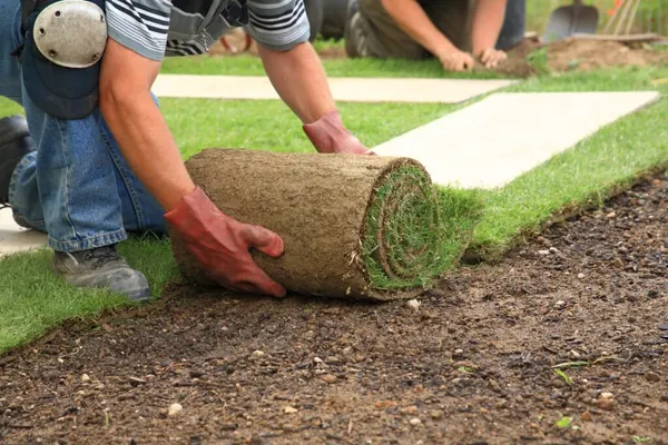 Stap 3: Graszoden neerleggen