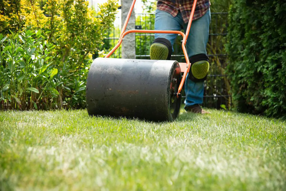Stap 4: Graszoden vastrollen met tuinrol